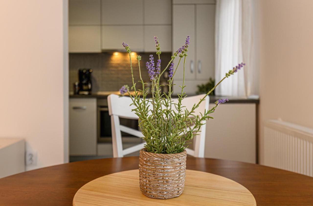 Stars Apartment Μπρασόβ Εξωτερικό φωτογραφία